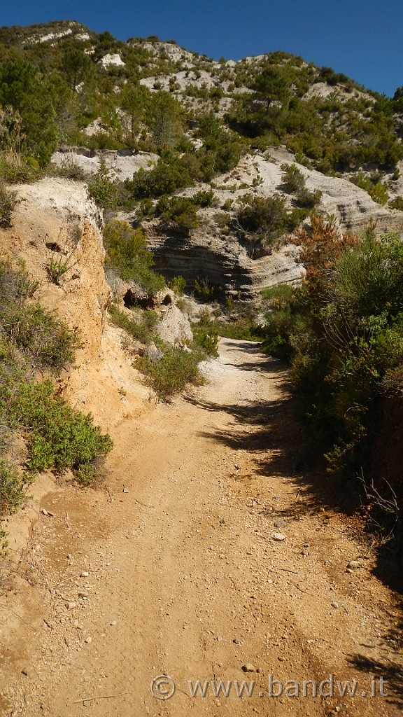 DSCN8756.jpg - Un vero spettacolo, sembra di pedalare in Africa